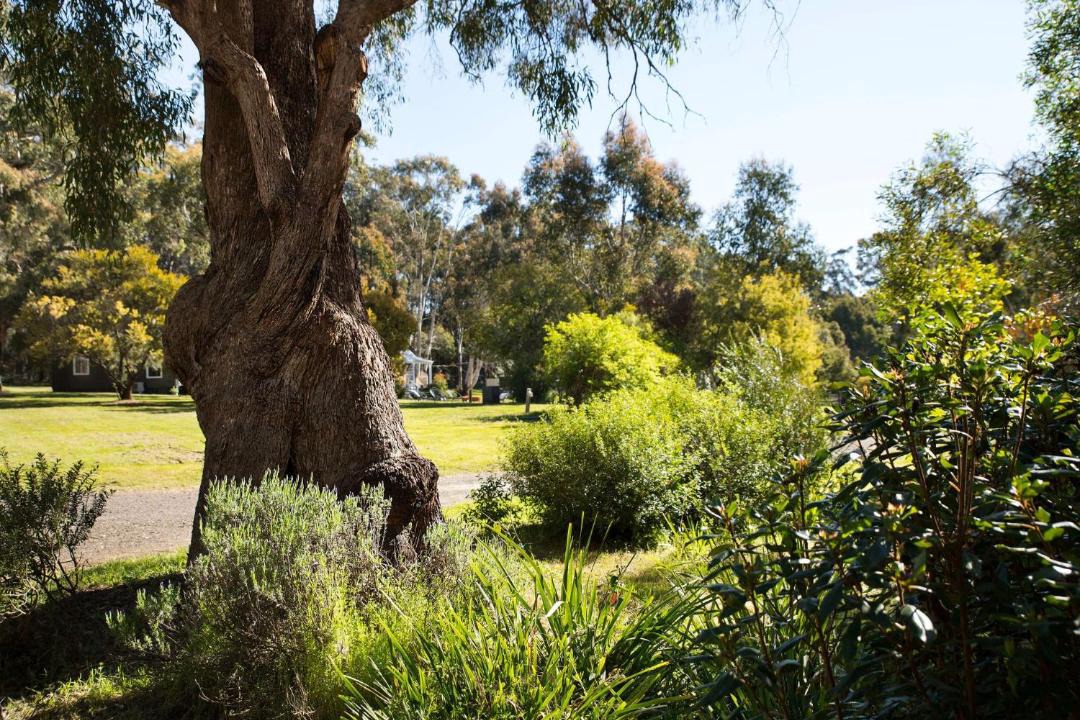 Photo of Others in Daylesford