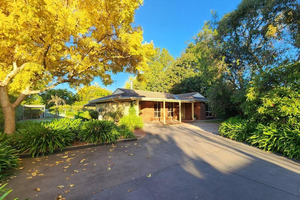 Photo of Others in Hahndorf