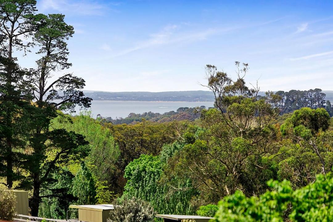 Photo of Others in Red Hill South
