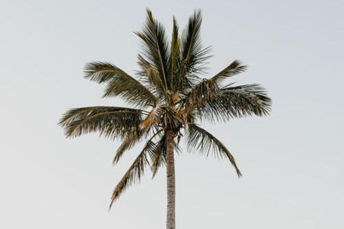 Photo of Others in Mooloolaba