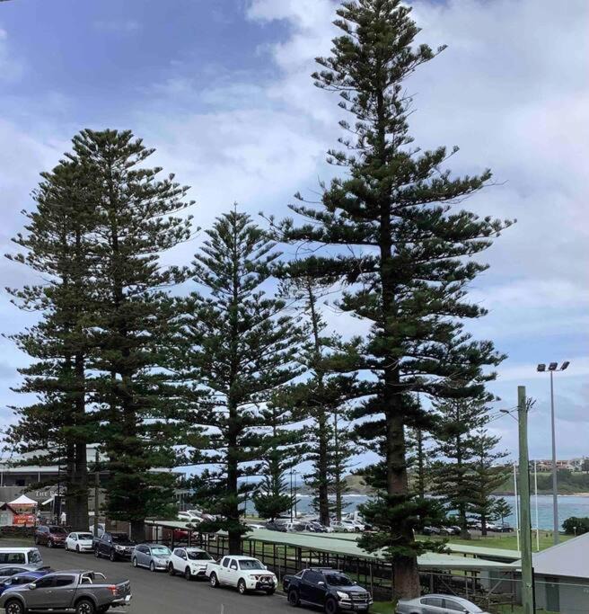 Photo of Others in Kiama