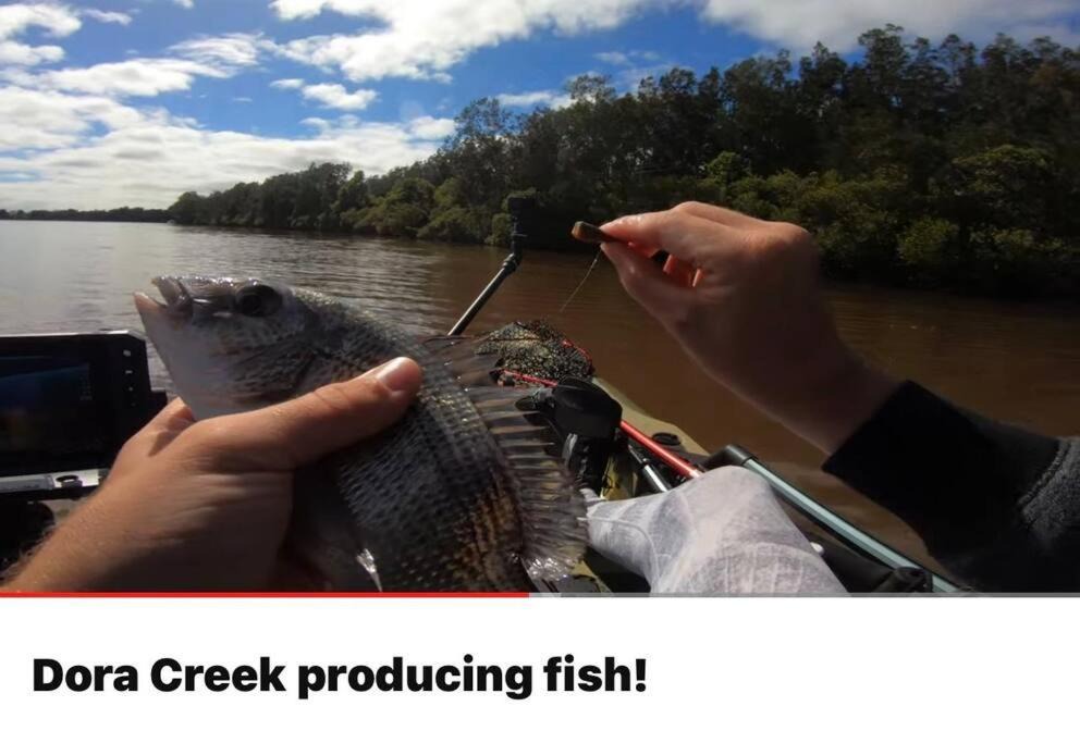 Photo of Others in Dora Creek