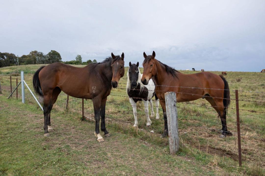 Photo of Others in Shadforth