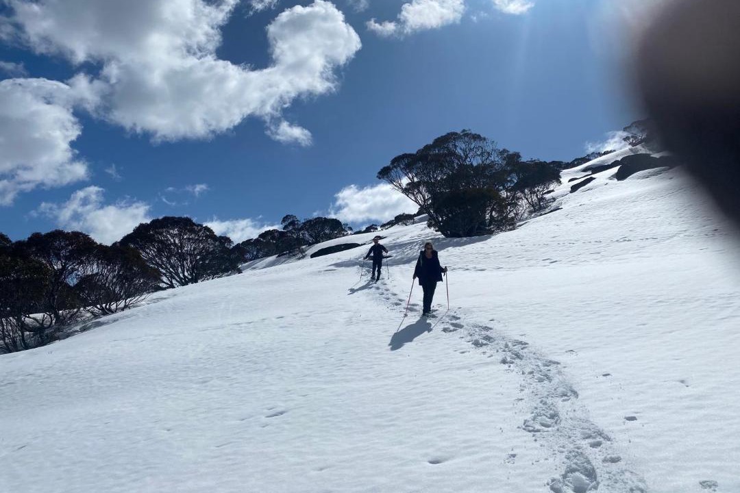 Photo of Others in Jindabyne