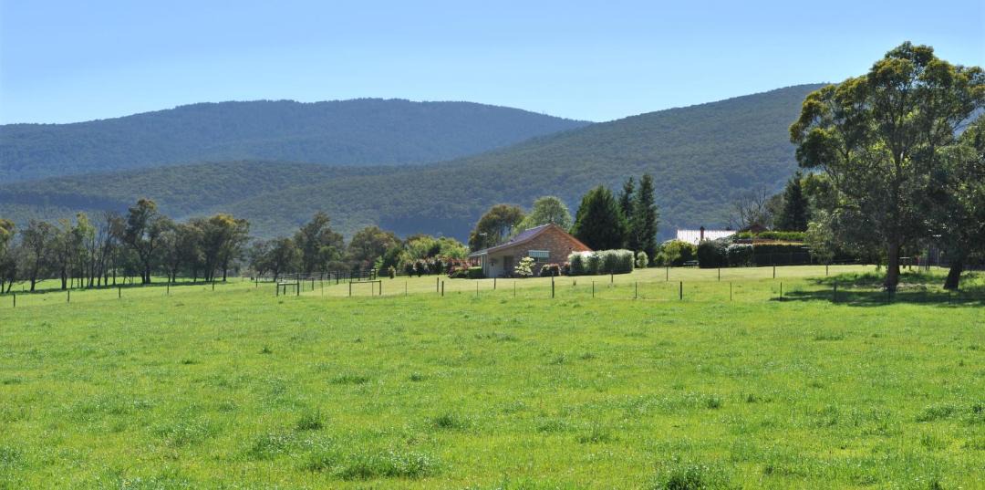 Photo of Others in Yarra Junction