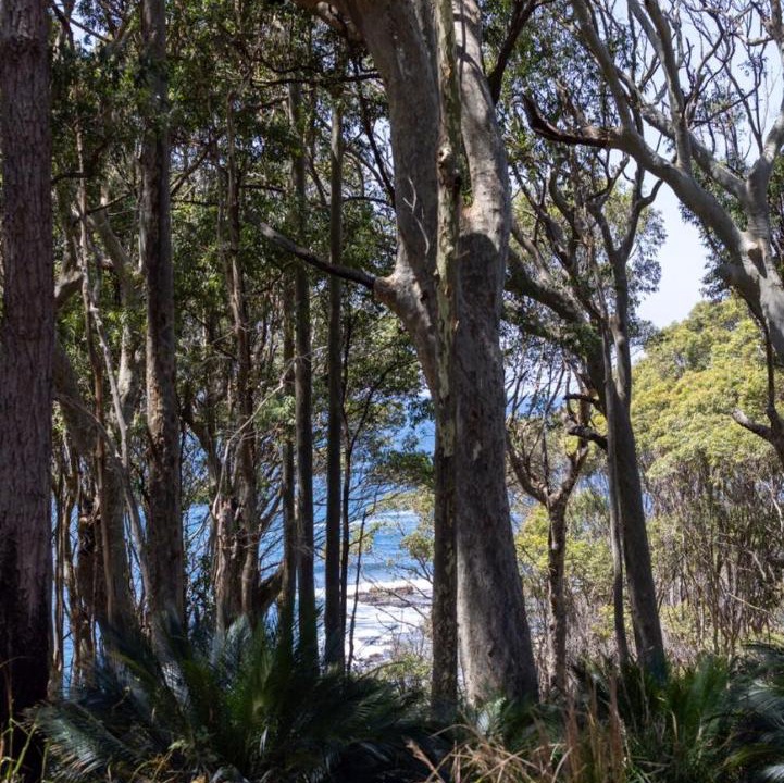 Photo of Others in Depot Beach