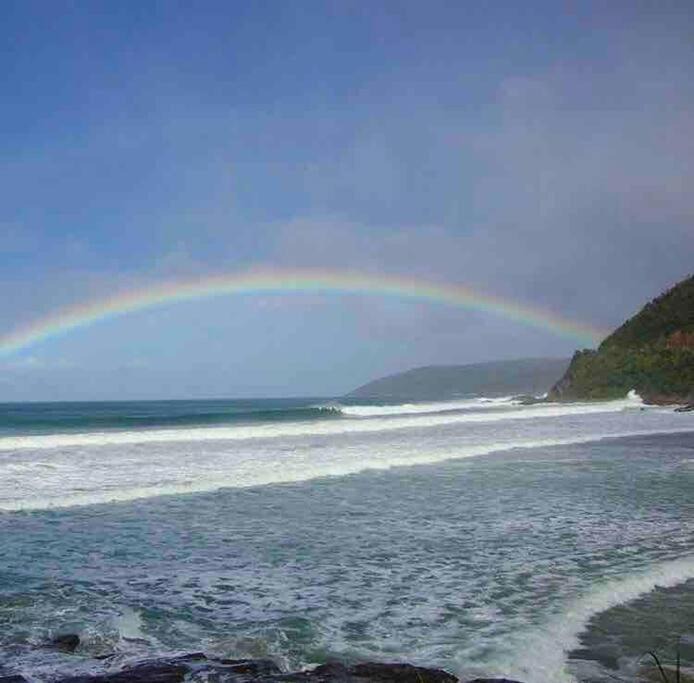 Photo of Others in Apollo Bay
