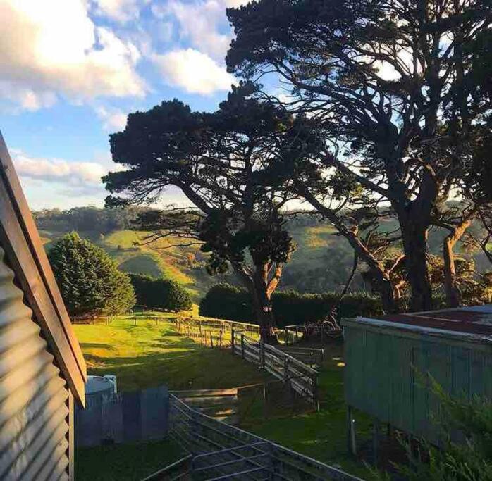 Photo of Others in Apollo Bay