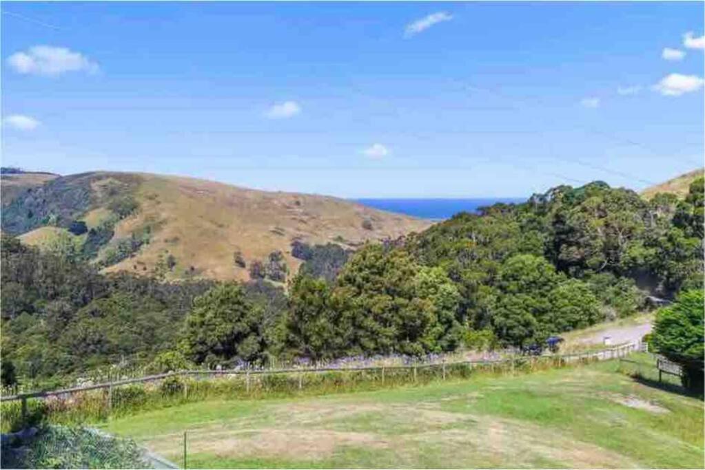 Photo of Others in Apollo Bay