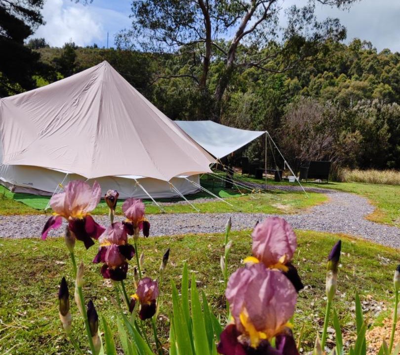 Photo of Outdoor in Zeehan