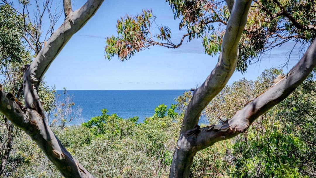 Photo of Outdoor in Hardys Bay