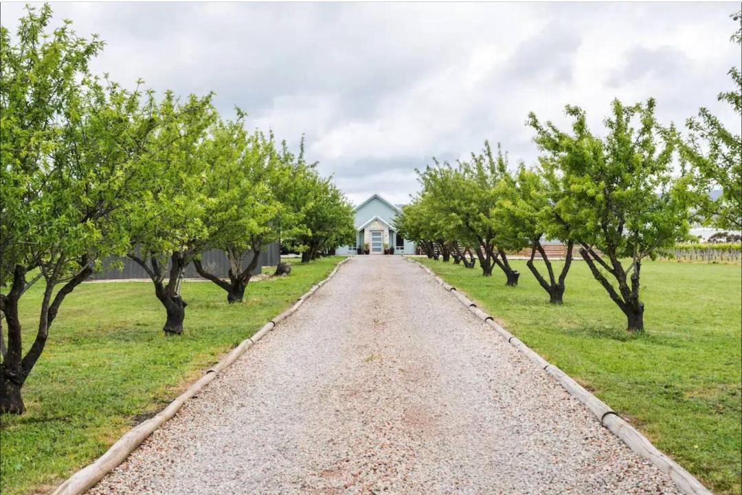 Photo of Others in McLaren Vale