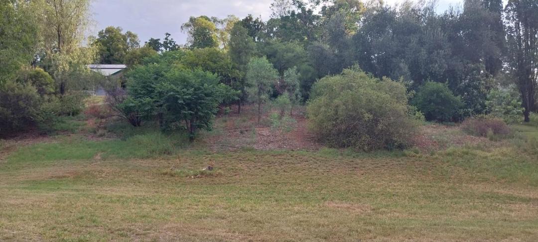 Photo of Others in Gunnedah