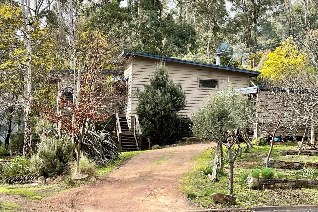 Photo of Others in Sawmill Settlement