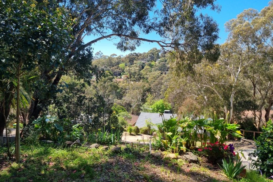Photo of Others in Greensborough