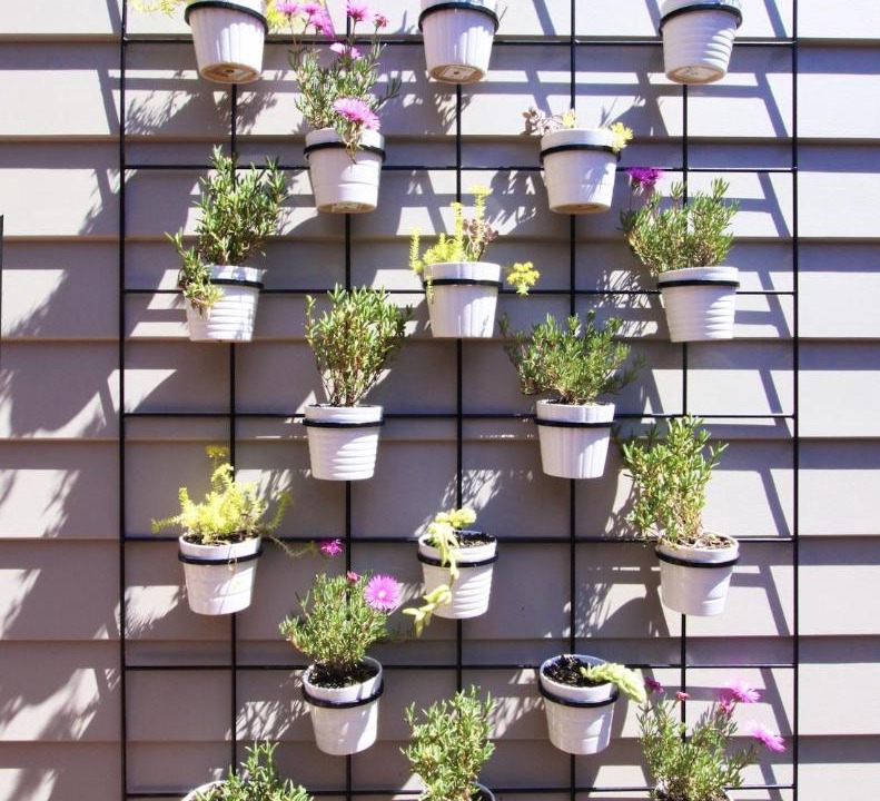 Photo of Patio Balcony in Culburra Beach