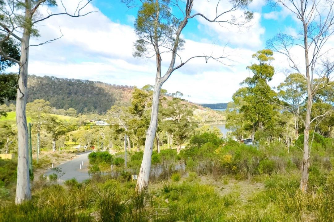 Photo of Outdoor in Nubeena