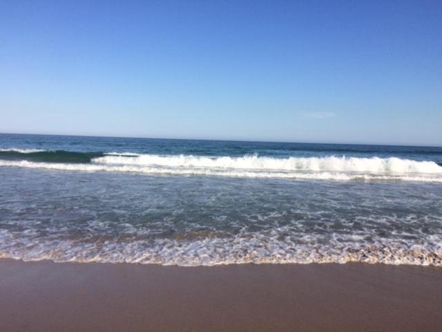 Photo of Others in Cronulla