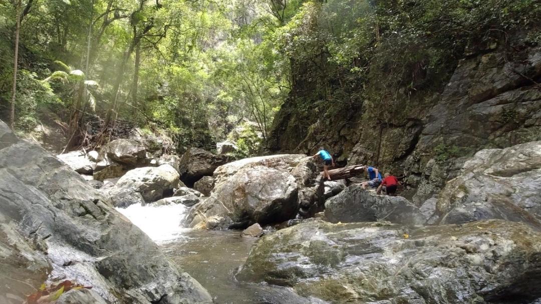 Photo of Others in Upper Orara