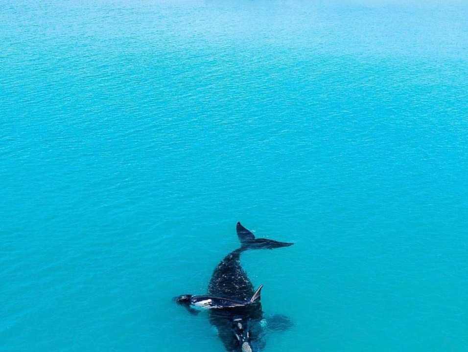 Photo of Others in Dunsborough