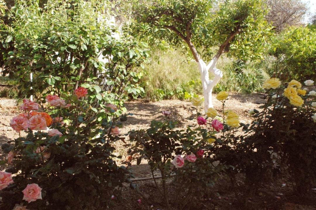Photo of Others in Afandou