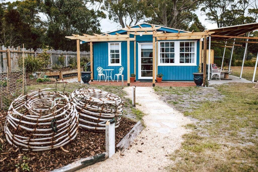 Photo of Buildings in Binalong Bay