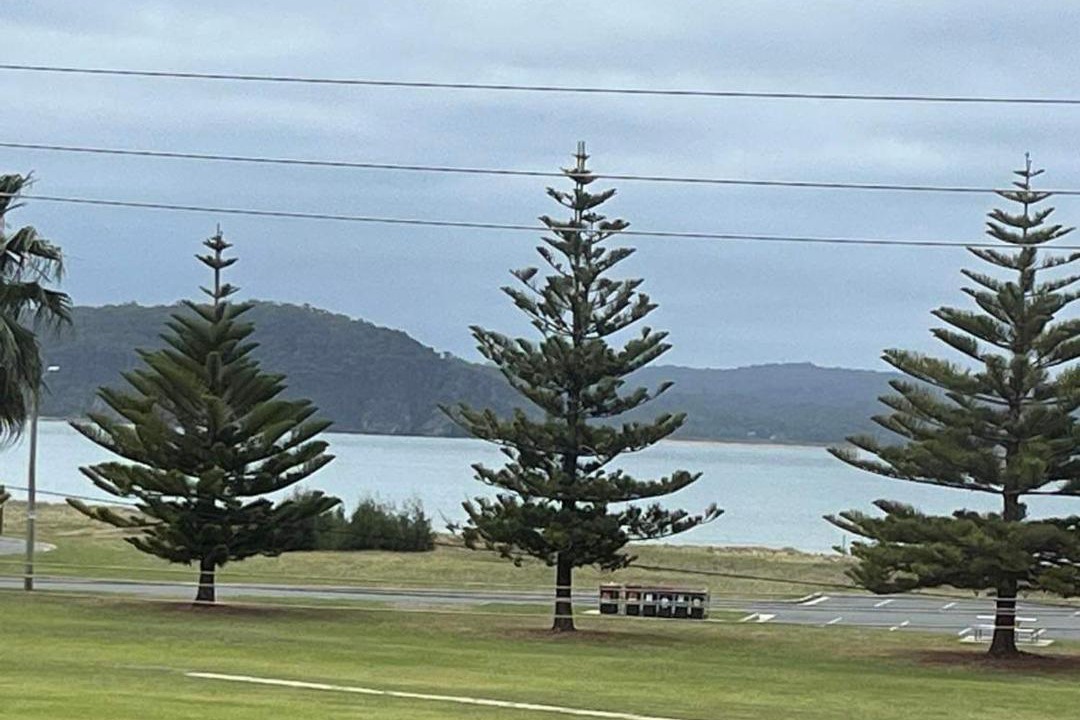 Photo of Outdoor in Batehaven