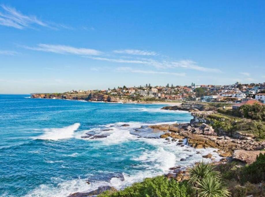 Photo of Others in Tamarama