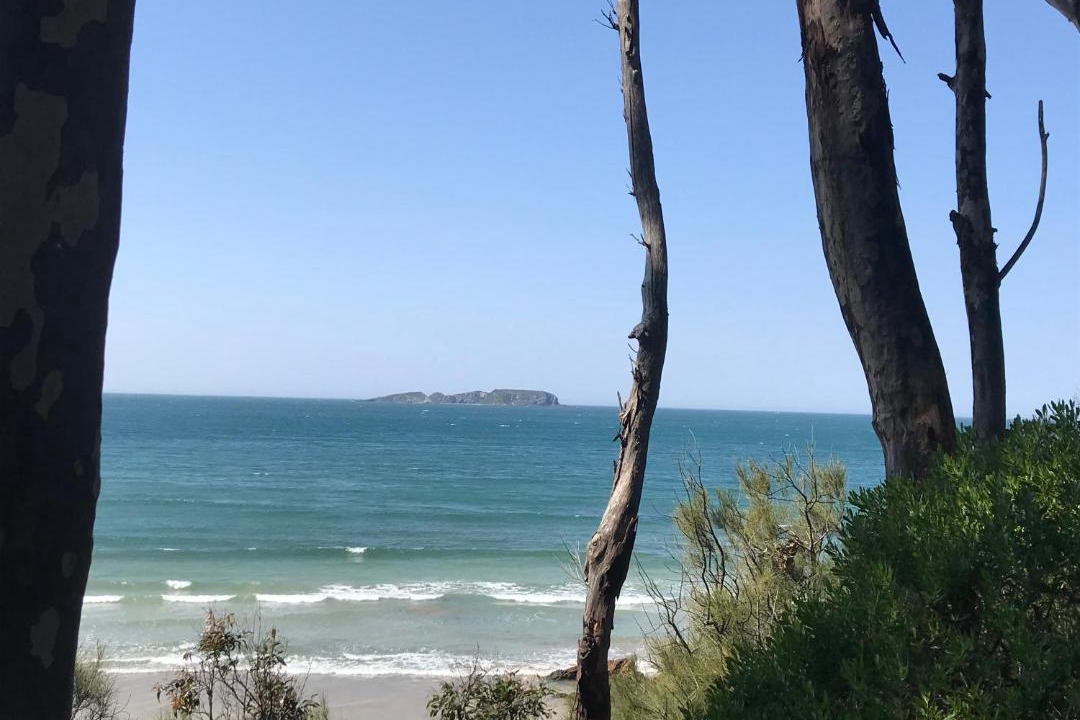 Photo of Others in Denhams Beach