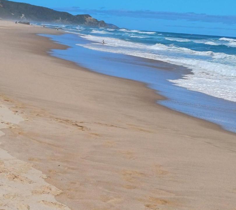 Photo of Others in Apollo Bay