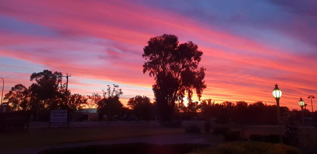 Photo of Others in East Wagga Wagga