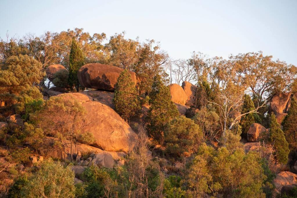 Photo of Others in Frog Rock
