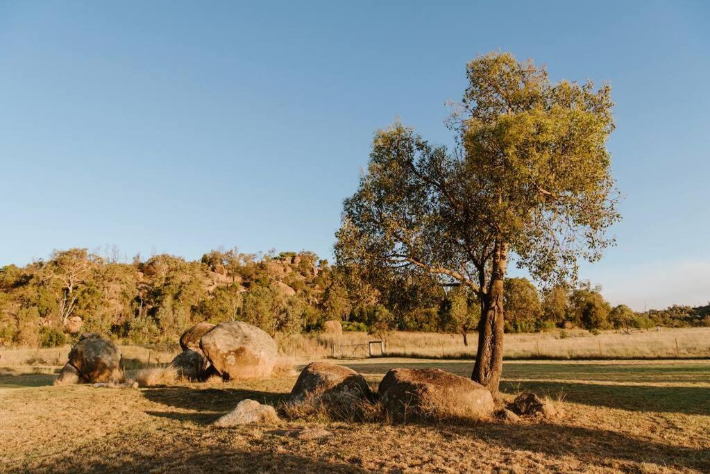 Photo of Others in Frog Rock
