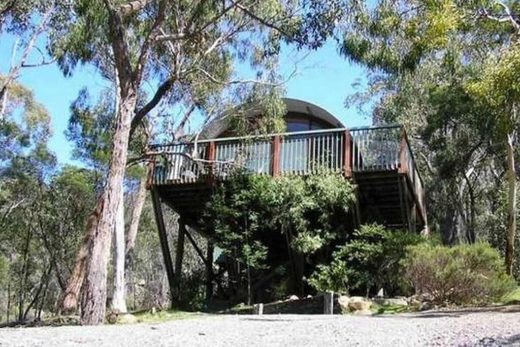 Photo of Others in Halls Gap