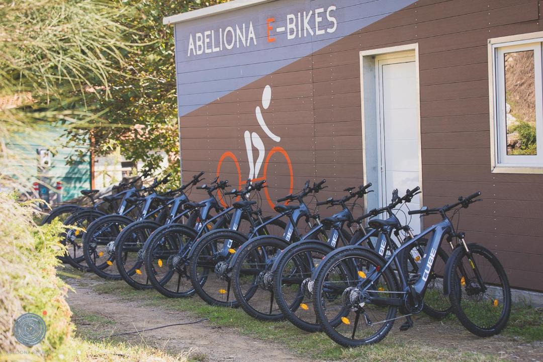 Photo of Others in Abeliona