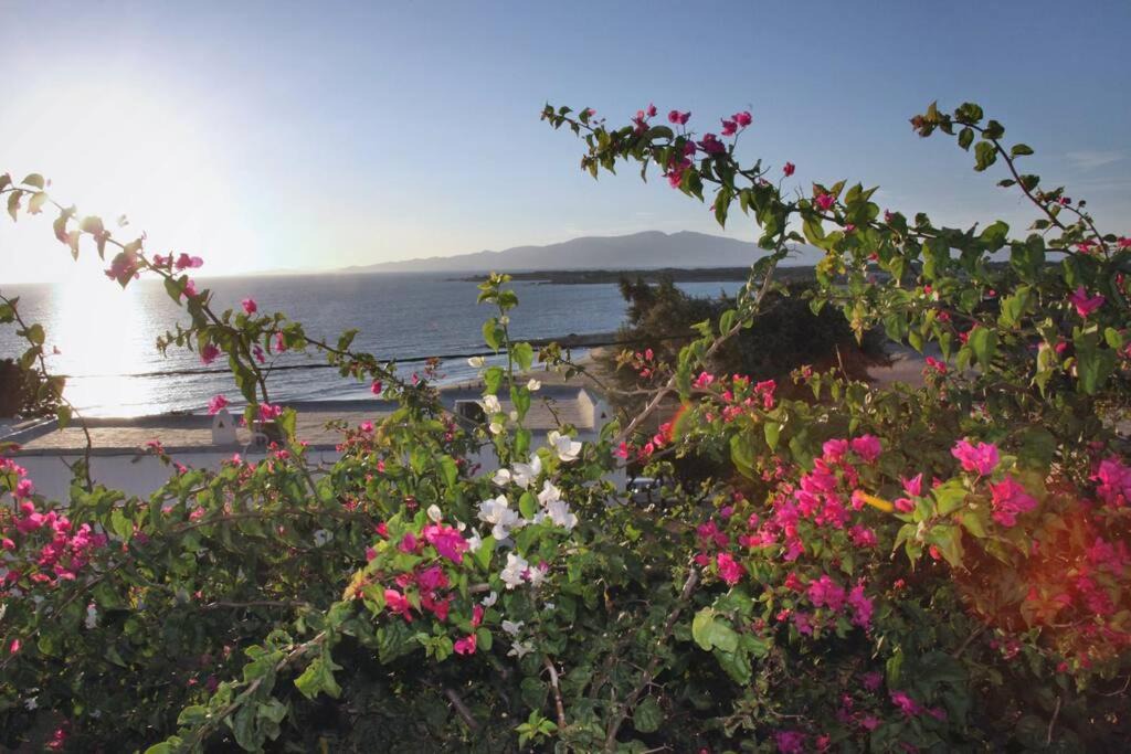 Photo of Others in Naxos