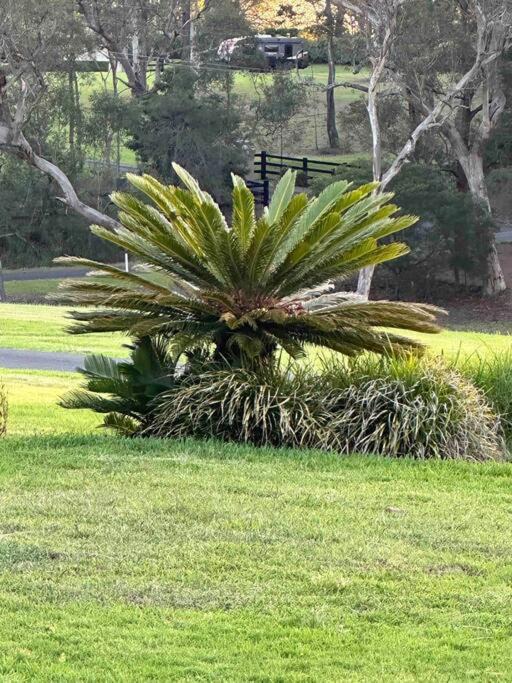 Photo of Others in Kenthurst