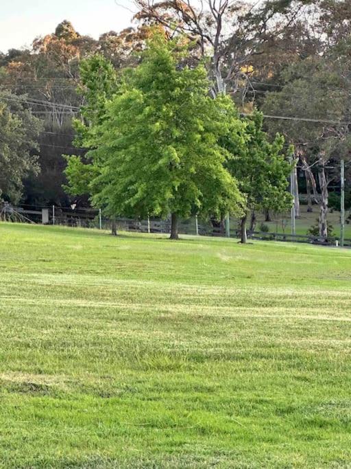 Photo of Others in Kenthurst
