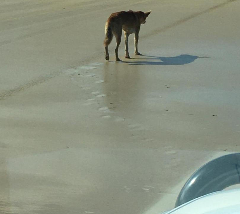 Photo of Others in Torquay