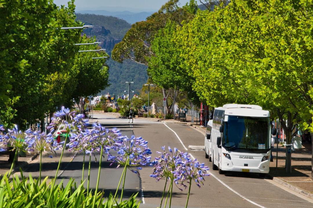 Photo of Others in Katoomba