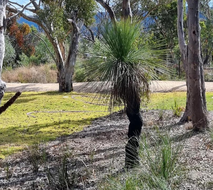 Photo of Others in Glen Aplin