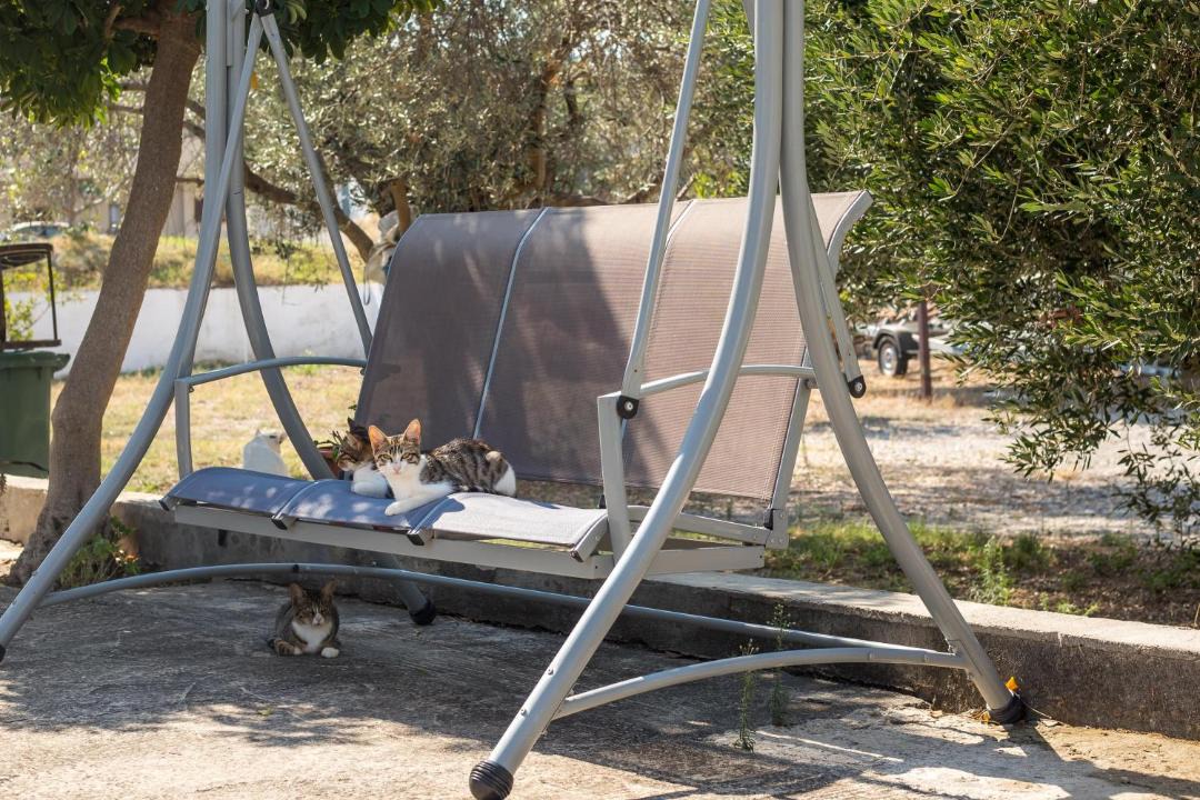 Photo of Others in Faliraki