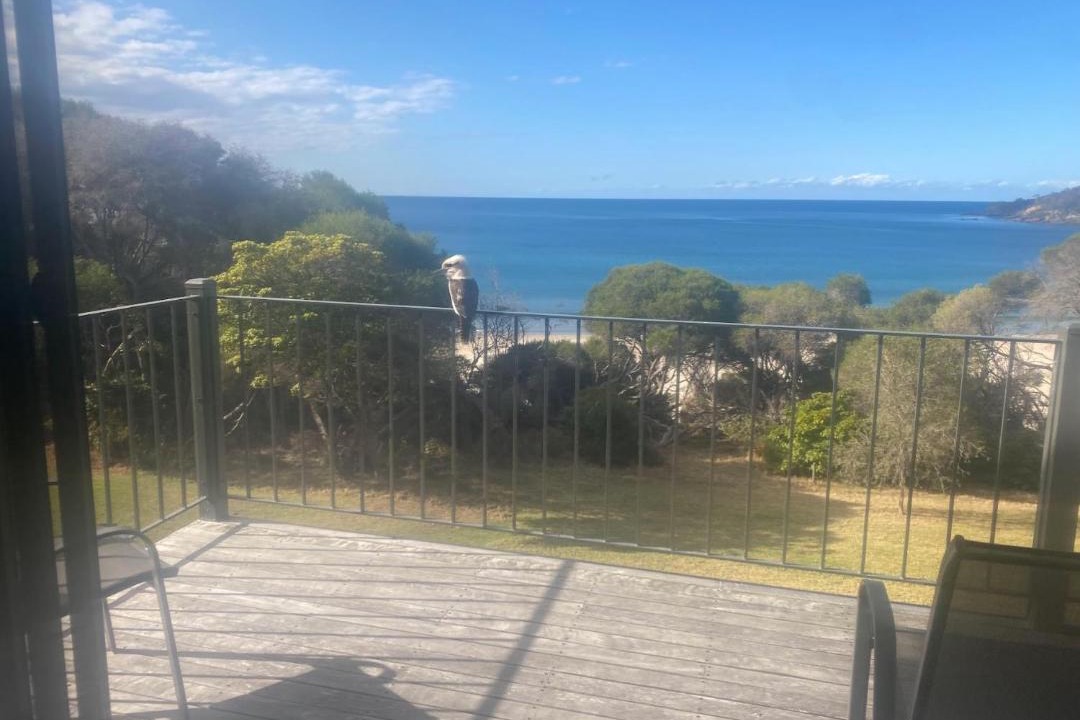 Photo of Others in Pambula Beach