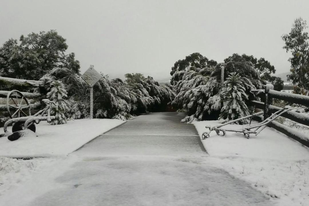 Photo of Others in Hartley