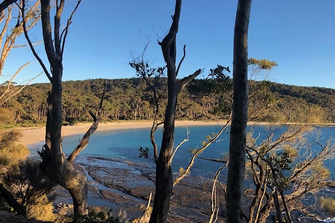 Photo of Others in Depot Beach