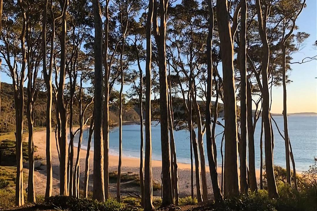 Photo of Others in Depot Beach