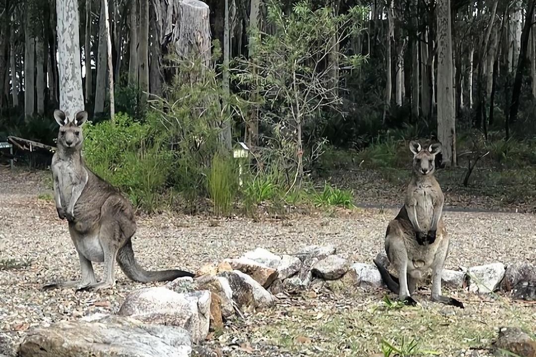 Photo of Others in Depot Beach