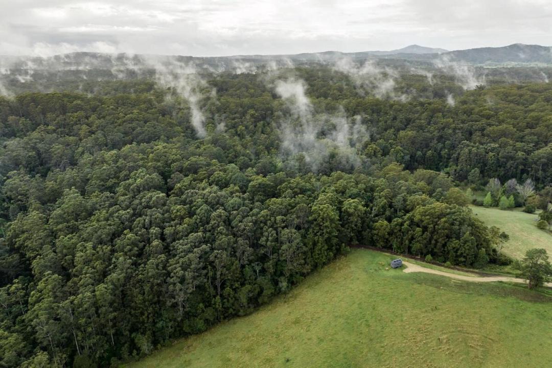 Photo of Others in Bellingen