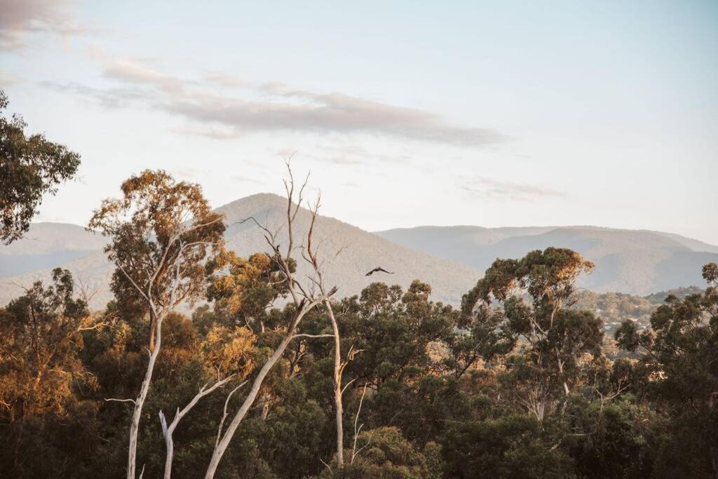 Photo of Others in Healesville