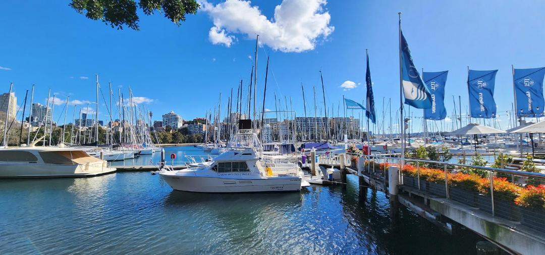 Photo of Others in Rushcutters Bay